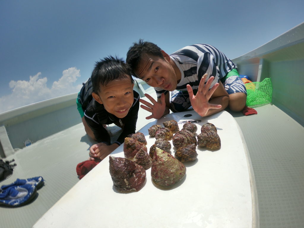 最大57%OFFクーポン 沖縄の海で獲った貝殻 rahathomedesign.com